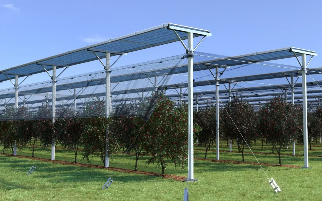PowerShield: la primera solución completa de sistema AGROVOLTAICO aplicada a los frutales